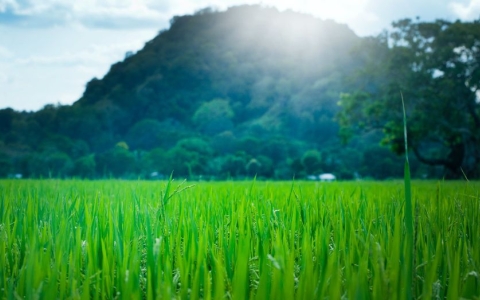  Mestrado em Agroecologia